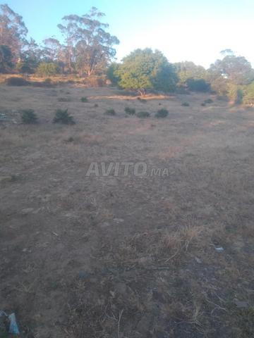 خندكور طنجة طريق اشقار - 2