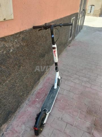 تيرمينست لويت - 2