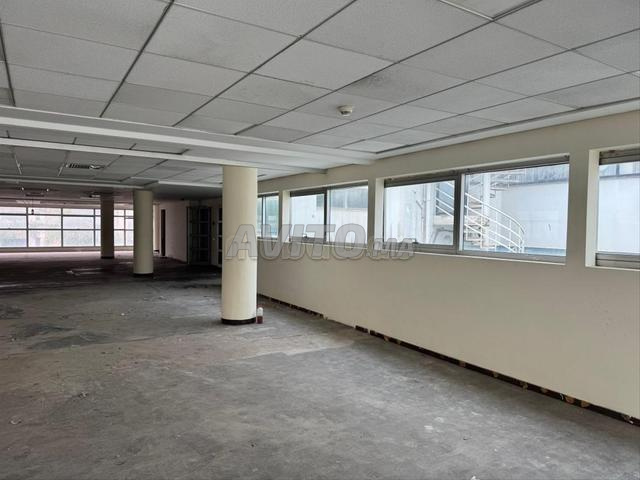 BUREAU À LOUER RACINE 350M² - 2