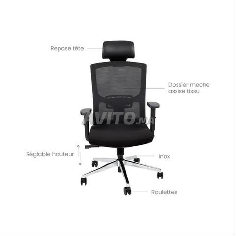 Chaise Ergonomique