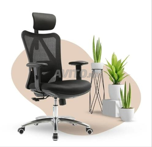 Chaise Ergonomique
