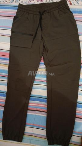 Cargo original - 2