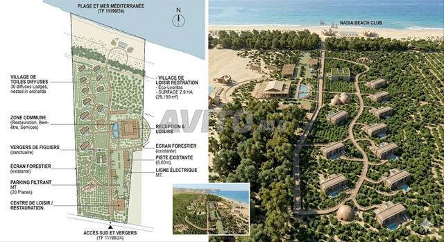 Vente de terrain titré à Al Hoceima (Souani)