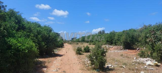 Vente de terrain