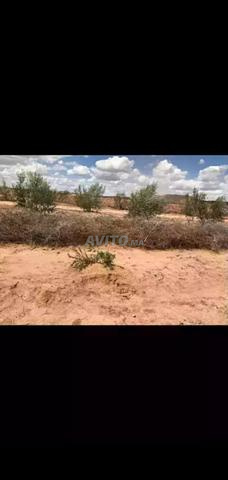Terrain Idéal Villa ou Projet Touristique - 2