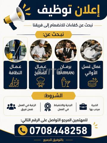 فرصة عمل نبحث عنها