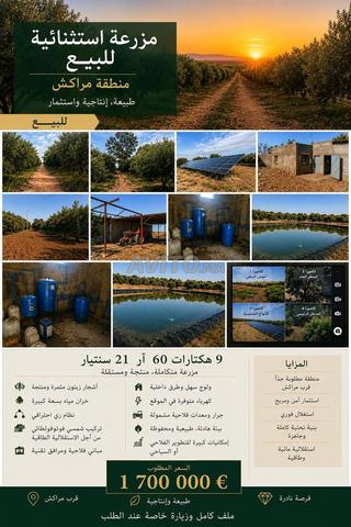 DOMAINE AGRICOLE DE PRESTIGE À VENDRE
