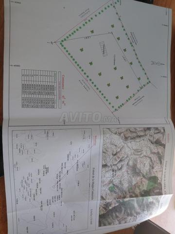 Terrain à vendre avec une maison, superficie 4396 - 2