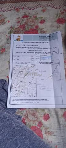 قطع أرضي للبيع ظهر البرداع، طنجة - 2