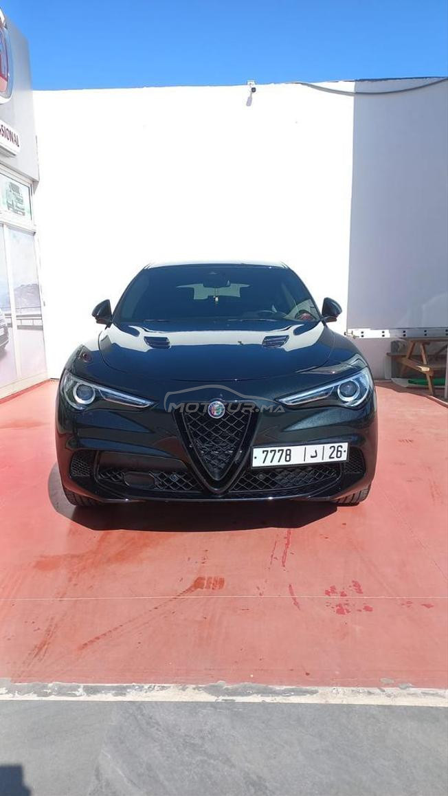 stelvio Quadrifoglio 