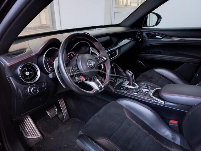 stelvio Quadrifoglio 