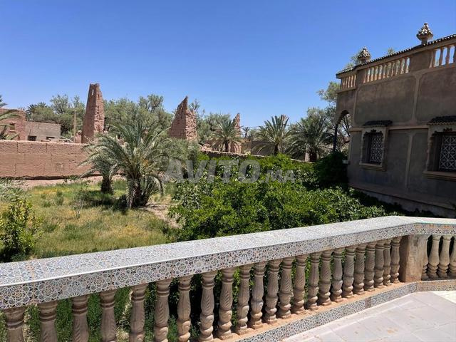 مزرعة للبيع سكورة