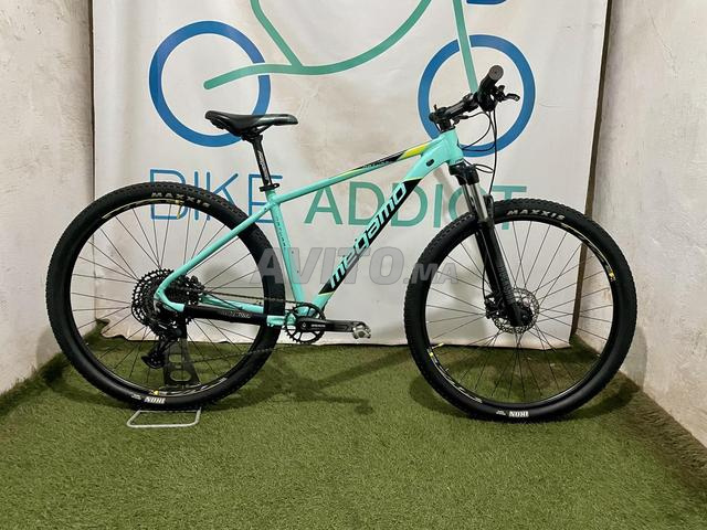 MEGAMO 29 Naturel Elite Eagle 07 