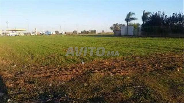 أراضي للبيع في ضواحي المحمدية والدار البيضاء - 2