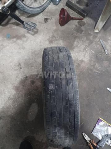 بنو تريبورتور طبلوس باقي نقي - 2