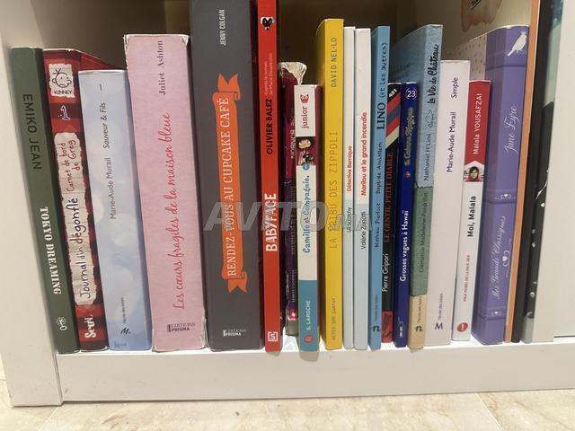 Lot de plus de 50 livres jeunesse en français - 2