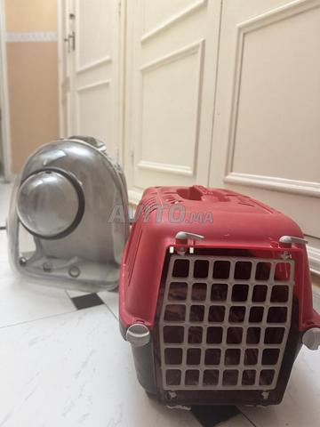 Sac et cage pour animaux de compagnie