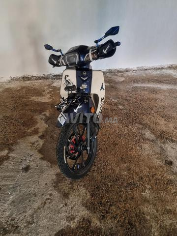chari m39ol mehba whtssap - 2