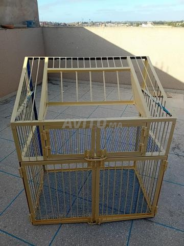 سبوتنيكة فوليار - 2