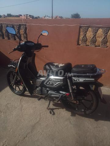 Moteur Bican33