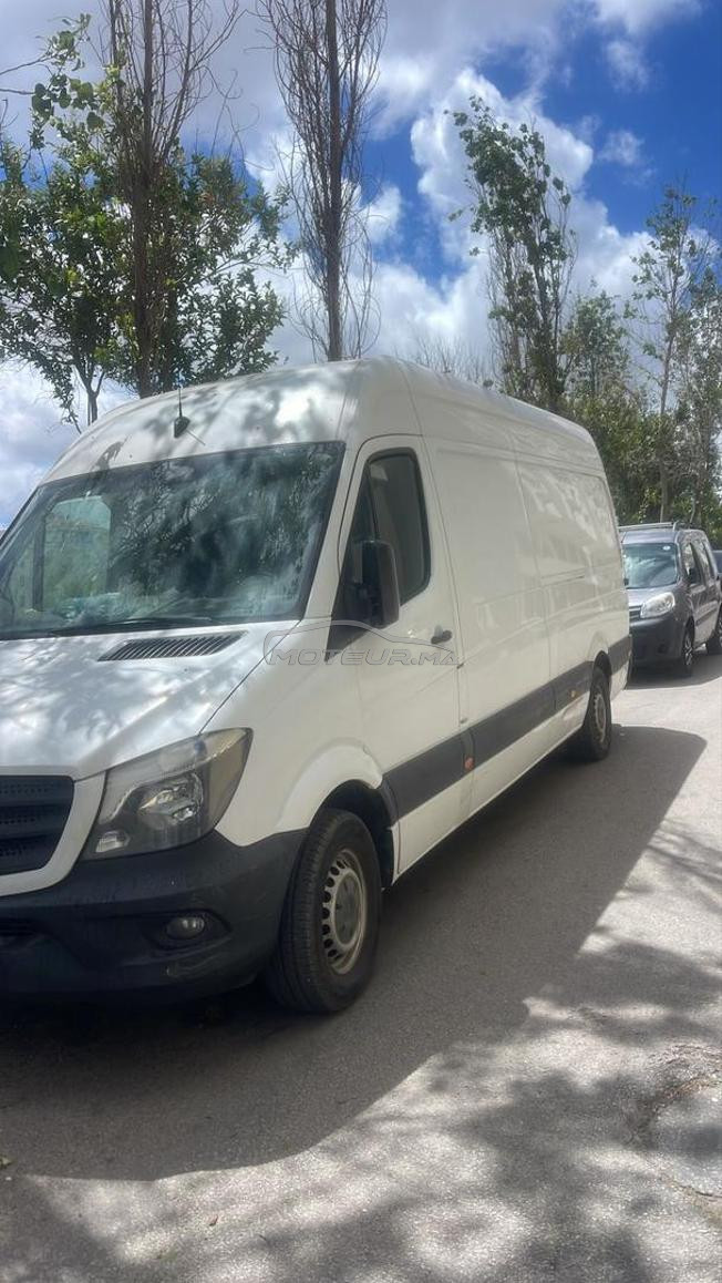 sprtenr a vendre