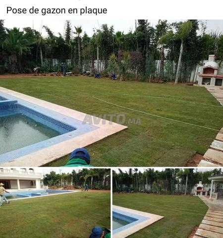 صيانة حديقة عشب مسبح - 2
