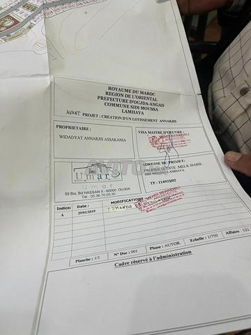 أرض تجزئة النرجس وجدة