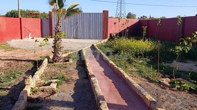 أرض للبيع مساحتها 5000 متر - 2