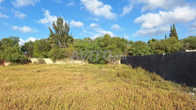 Entrepôt 2800m² ouvert à louer Bouskoura Casa - 2