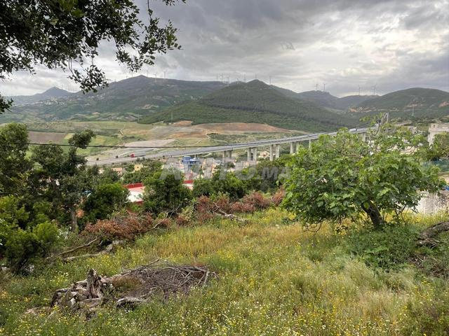 Terrain de 500 m² au prix de 550 DH/m² - 2