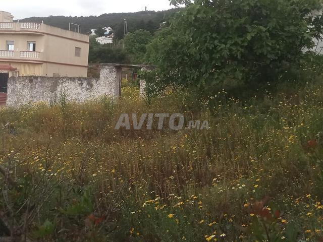 Terrain de 500 m² au prix de 550 DH/m²
