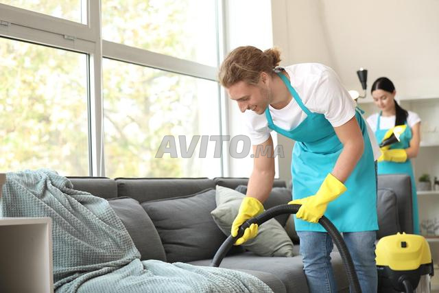 تنظيف أثاث بالبخار. معالجة الصراصير - 2