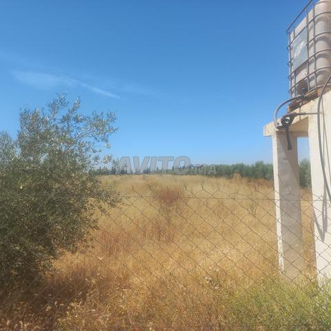 2 hectares pour construction de villa