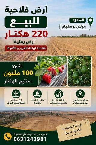 220 هكتار أرض فلاحية رملية للبيع بمولاي بوسلهام