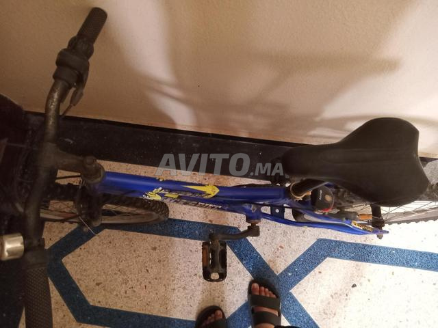 Vélo - 2