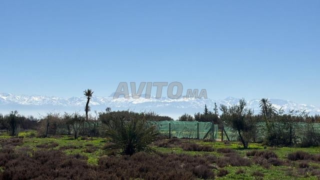 Terrain au calme, vue Atlas, 10 000 m2 à Marrakech - 2