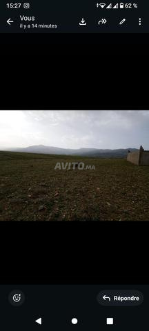 أرض فلاحية مع سكن للبيع - 2