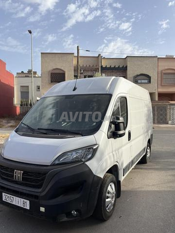 فيات دوكاتو L2H2 2025 – حالة ممتازة – 31000 كم