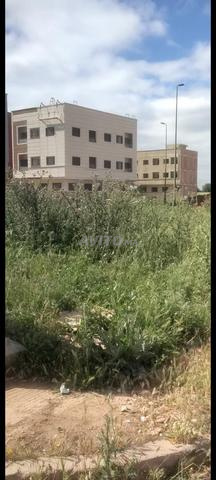 قطعة أرضية تجارية مسجلة ومحفظة - 2