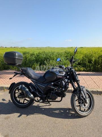 Cimatti Monster 2023 - 2 cylindres 50cc 125cc - 2