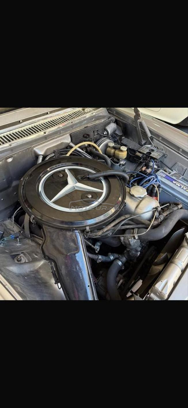 mercedes corta 230 