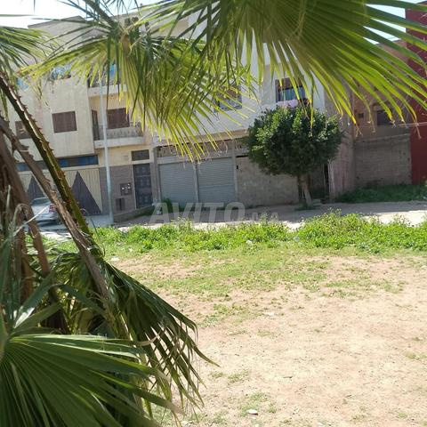 مقهى ومشروبات - 2