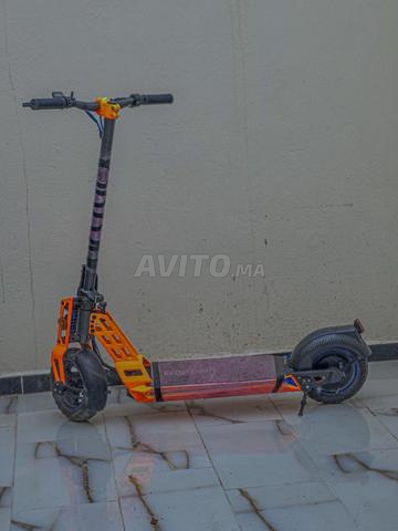 ecoXtreme bison 800w - 2