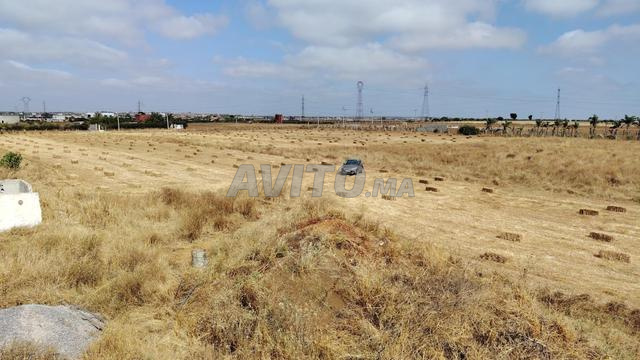 Ferme sur 1 ha avec villa à Bouskoura Benslimane - 2