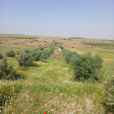 مزرعة مجهزة جيداً - 2