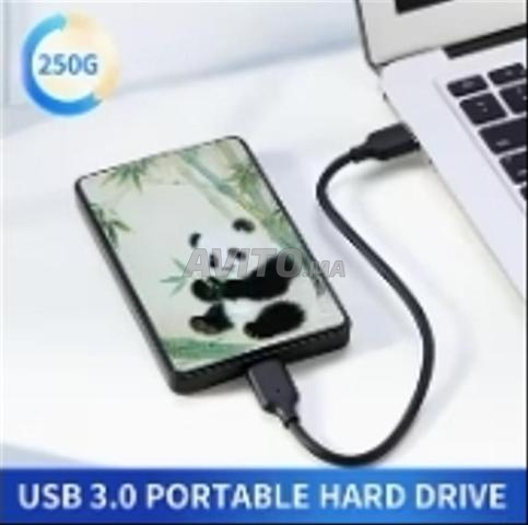 Disque dur externe 250 Go HDD - 2