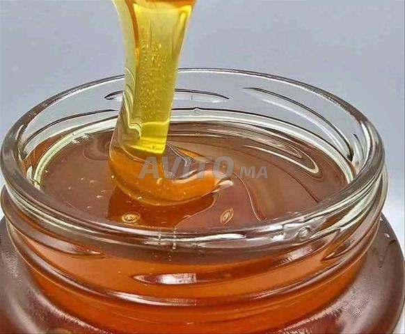 عسل الأوكالبتوس النقي - 2