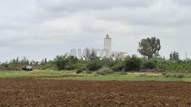Terrain de 1,54H pour maison ou projet agricole