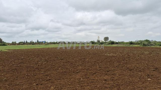 Terrain de 1,54H pour maison ou projet agricole - 2
