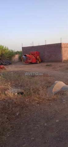 إسطنبول كوكوت - 2